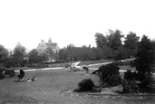 View From The Vines 1894, Rochester