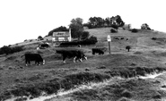 Common c.1960, Rodborough