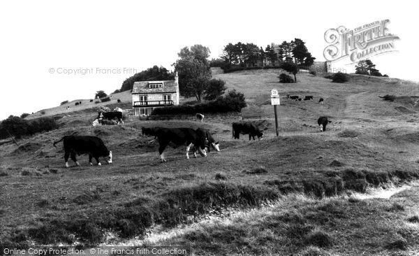 Photo of Rodborough, Common c1960