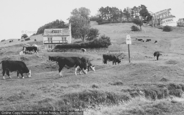 Photo of Rodborough, Rodborough Hill c.1960