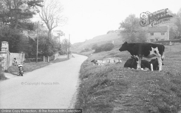 Photo of Rodborough, The Common c.1955