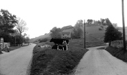 The Fort c.1955, Rodborough