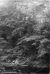 Rokeby, Bertram's Cave 1890, Rokeby Park