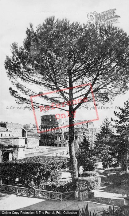 Photo of Rome, The Colosseum From Palatine Hill c.1930