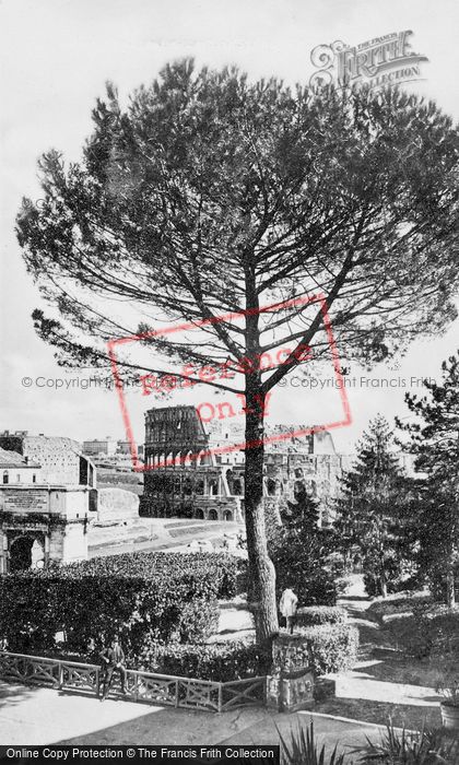 Photo of Rome, The Colosseum From Palatine Hill c.1930