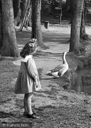 A Girl And A Goose 1921, Romford