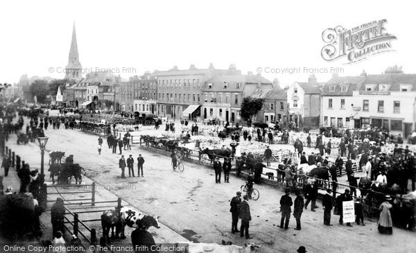 Photo of Romford, The Market 1910