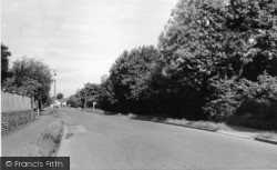 Gossamer Lane c.1955, Rose Green
