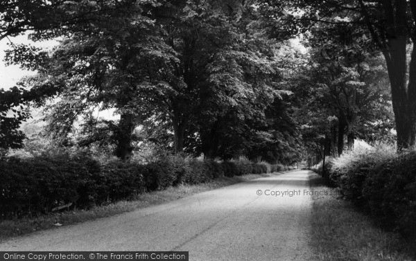 Photo of Rosedale Abbey, The Avenue c.1955