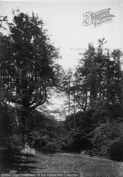 Photo of Rosneath, Adam And Eve 1904