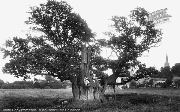 Photo Of Ross On Wye The Old Oak Tree 1914 Francis Frith 