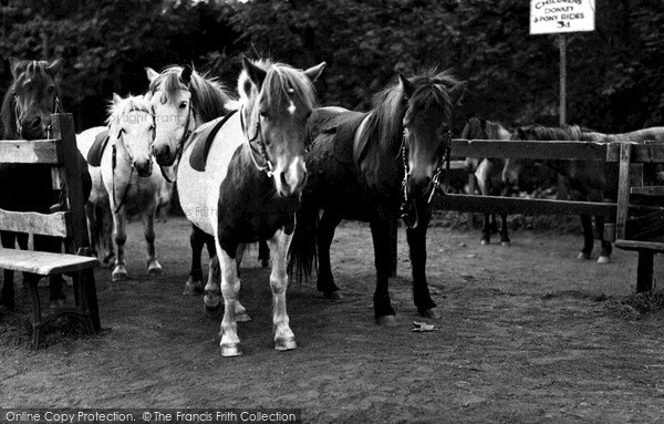 Photo of Roughlee, Riding Ponies At The Lake c.1955