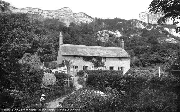 Photo of Rousdon, Landslip Cottage 1903
