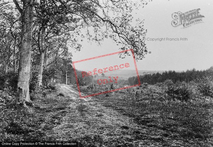 Photo of Rowledge, View From Woods 1930