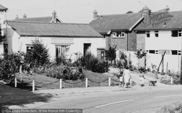 Photo of Roxwell, Local Stores c.1965