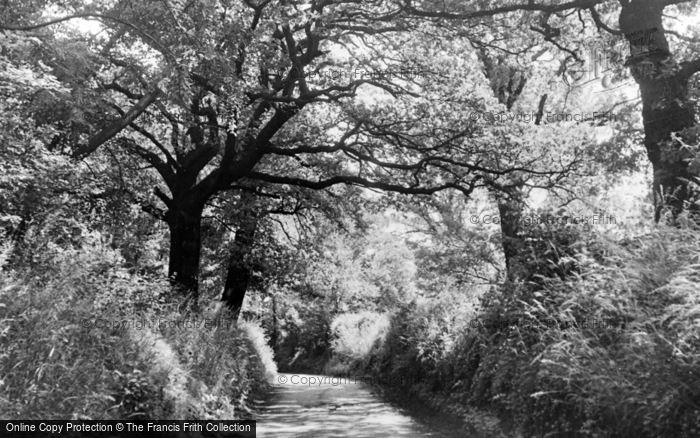 Photo of Roydon, Low Hill c.1955