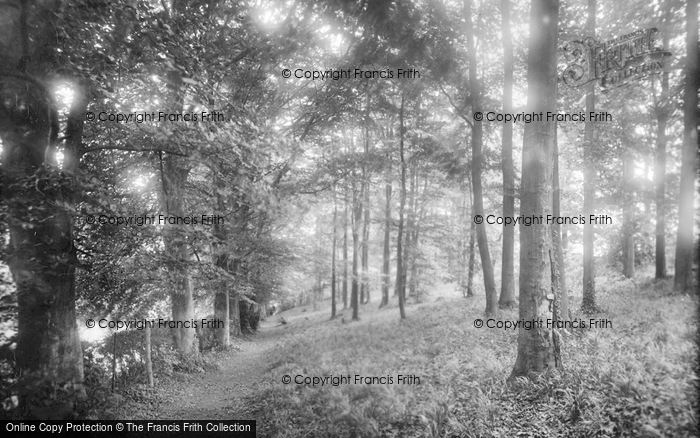 Photo of Royston, The Green Walk 1929