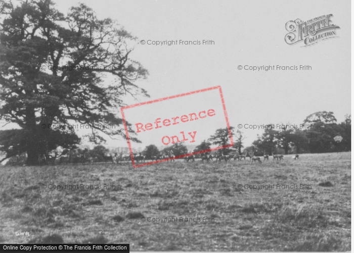 Photo of Ruabon, Wynnstay Park c.1950