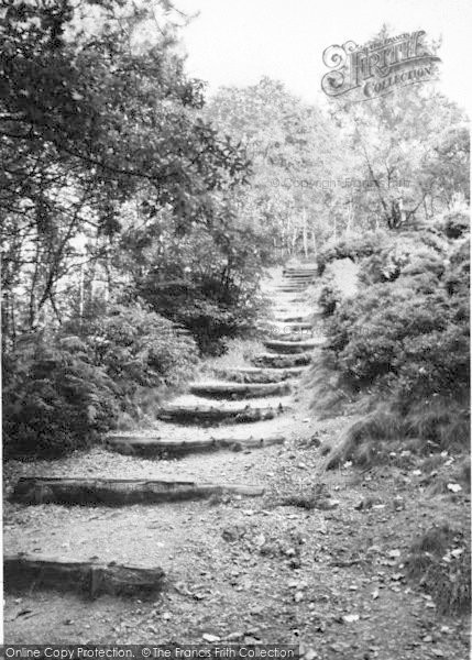 Photo of Rubery, A Woodland Path c.1965