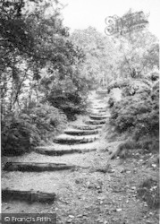 A Woodland Path c.1965, Rubery