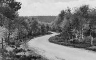 Birches Valley, Cannock Chase c.1965, Rugeley