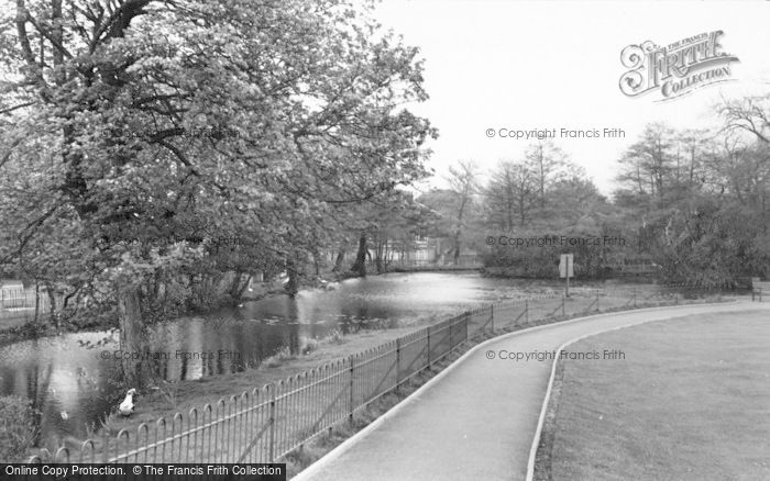 Photo of Rugeley, The Park Lake c.1955