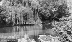 Manor Pond c.1955, Ruislip