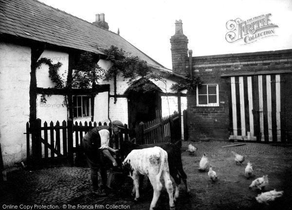 Photo of Runcorn, Farmyard 1929