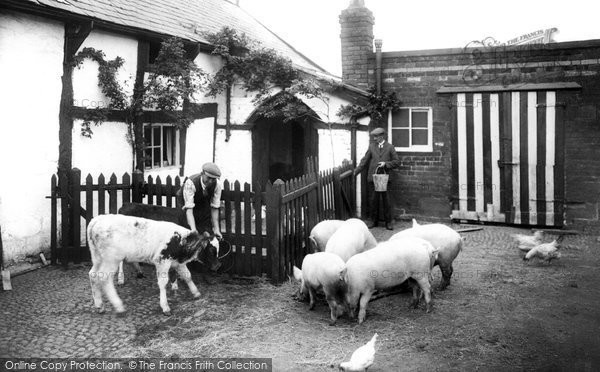 Photo of Runcorn, Feeding The Animals 1929
