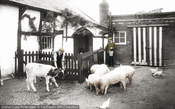 Photo of Runcorn, Feeding The Animals 1929