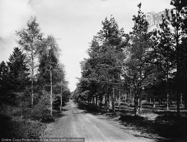 Photo of Runfold, Crooksbury, Sanatorium Road 1921