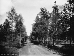 Crooksbury, Sanatorium Road 1921, Runfold