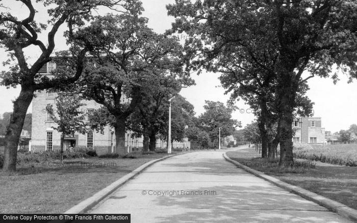 Photo of Runwell, Main Drive, Runwell Hospital c.1955
