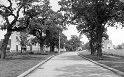Main Drive, Runwell Hospital c.1955, Runwell
