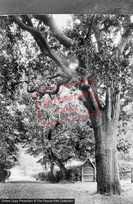 Photo of Ryde, Apley Lane 1913