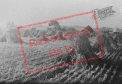 A Wheat Field 1888, Rye