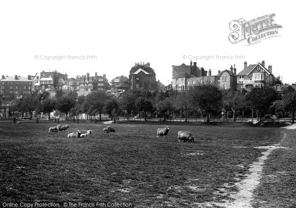 Photo of Rye, East Cliff 1906