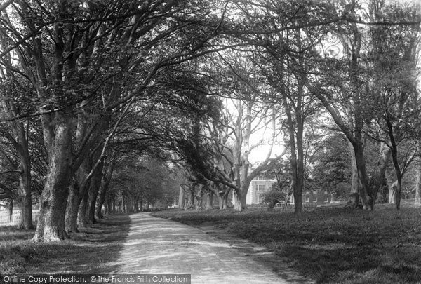 Photo of Rye, Leasam Avenue 1906