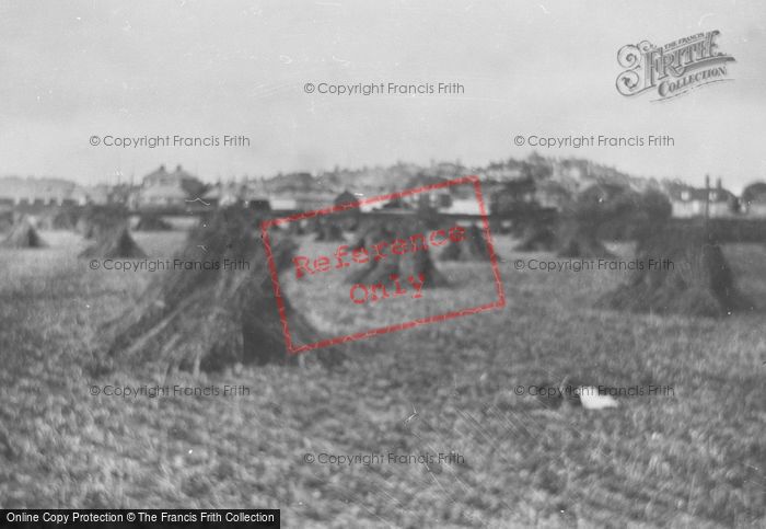 Photo of Rye, Wheatsheafs 1888