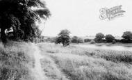 Ryhill photo