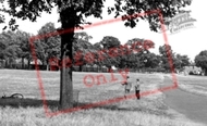 The Common 1937, Saffron Walden
