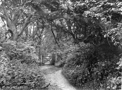 Courtenay Walk To Bolt Head 1931, Salcombe