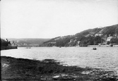 Harbour From Higher Passage 1896, Salcombe