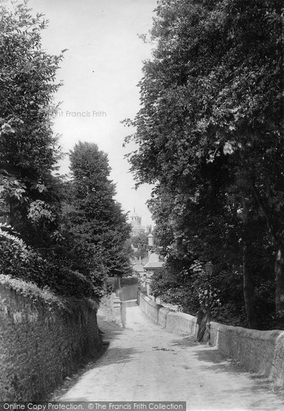 Photo of Salcombe, Kingsbridge Road 1896