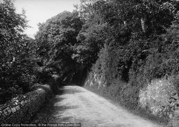 Photo of Salcombe, Kingsbridge Road 1896