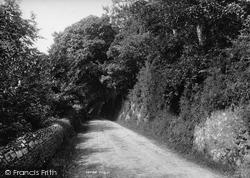 Kingsbridge Road 1896, Salcombe