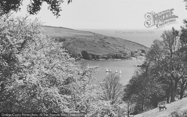Photo of Salcombe, Limebury Point c.1955