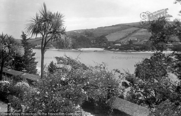 Photo of Salcombe, Palms In Bloom 1930