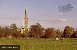 Cathedral 2004, Salisbury