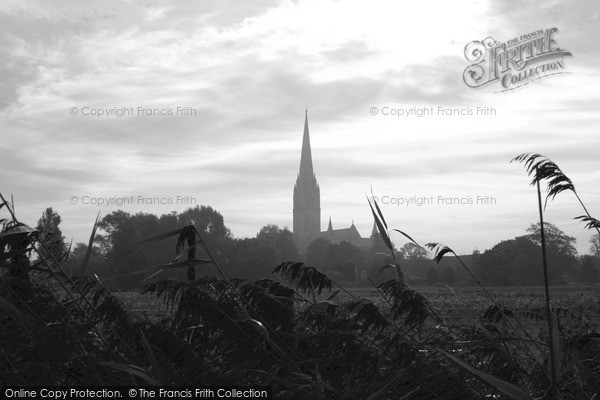 Photo of Salisbury, Cathedral And Water Meadows From The Town Path 2004